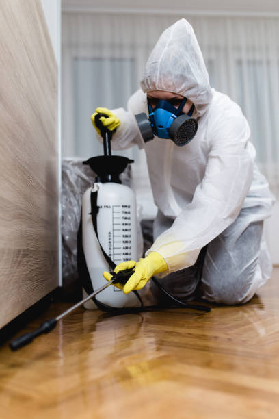 Real Estate Pest Inspections in Boron, CA